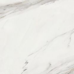 188206 Calacatta Superwhite Rec 60x60
