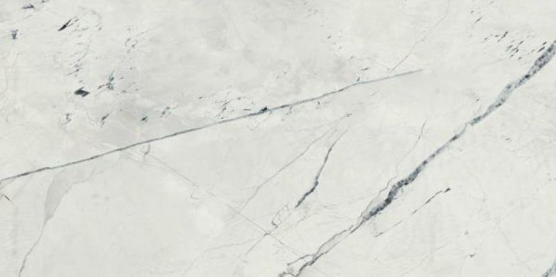 188644 Light Calacatta Satin 60x120