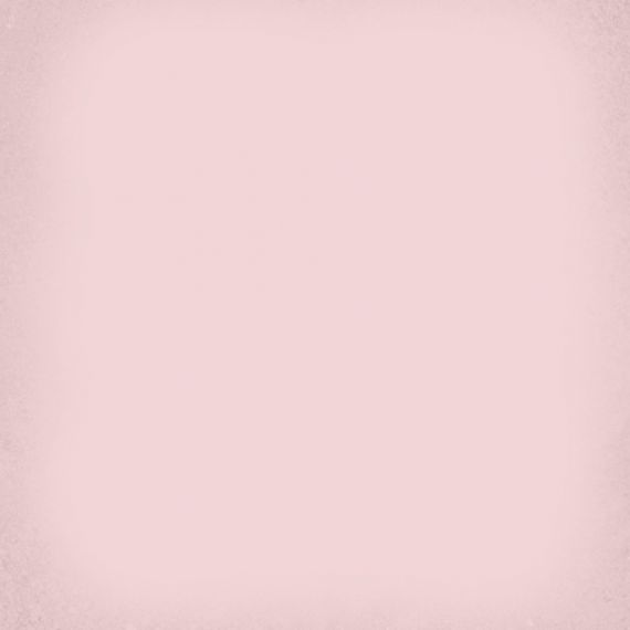 1900 Roza g.136 20x20