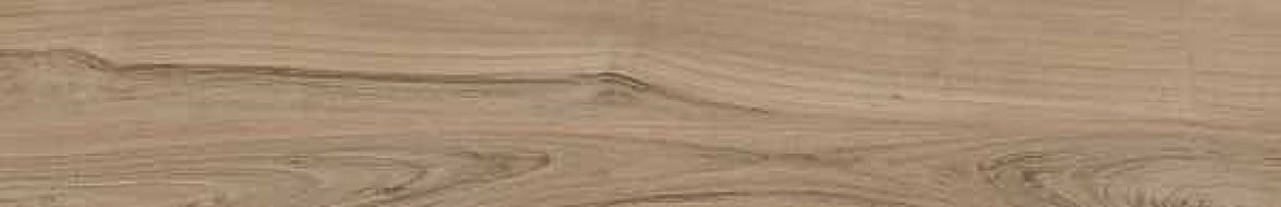 19FU79T PRIORATO ROBLE 19,5x120