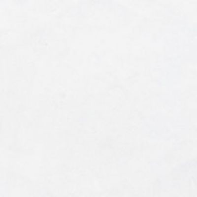 20403 Taco Blanco Mate 4.6*4.6