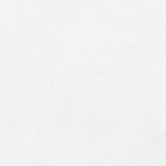 20403 Taco Blanco Mate 4.6*4.6