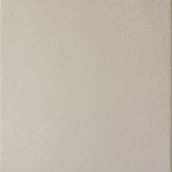 20869 Caprice Grey 20*20