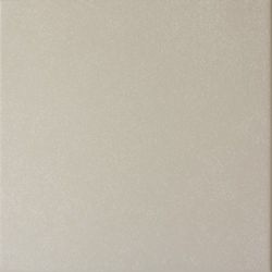 20869 Caprice Grey 20*20