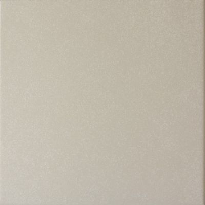 20869 Caprice Grey 20*20