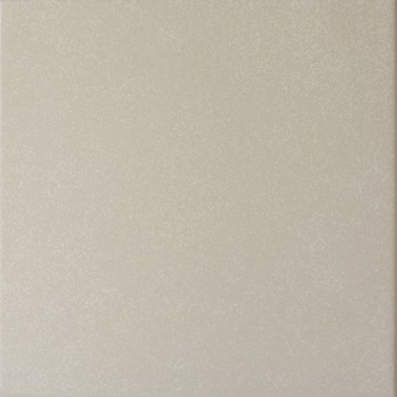 20869 Caprice Grey 20*20