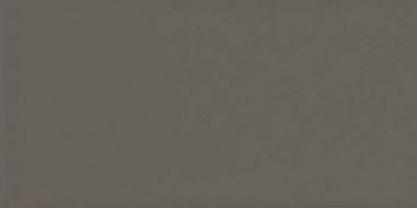 20915 EVOLUTION GRIS OSCURO BRILLO 7,5*15