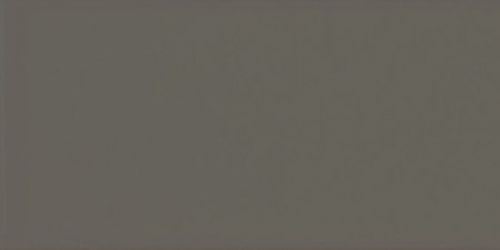 20915 EVOLUTION GRIS OSCURO BRILLO 7,5*15