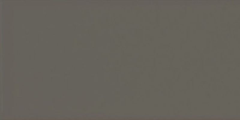 20915 EVOLUTION GRIS OSCURO BRILLO 7,5*15