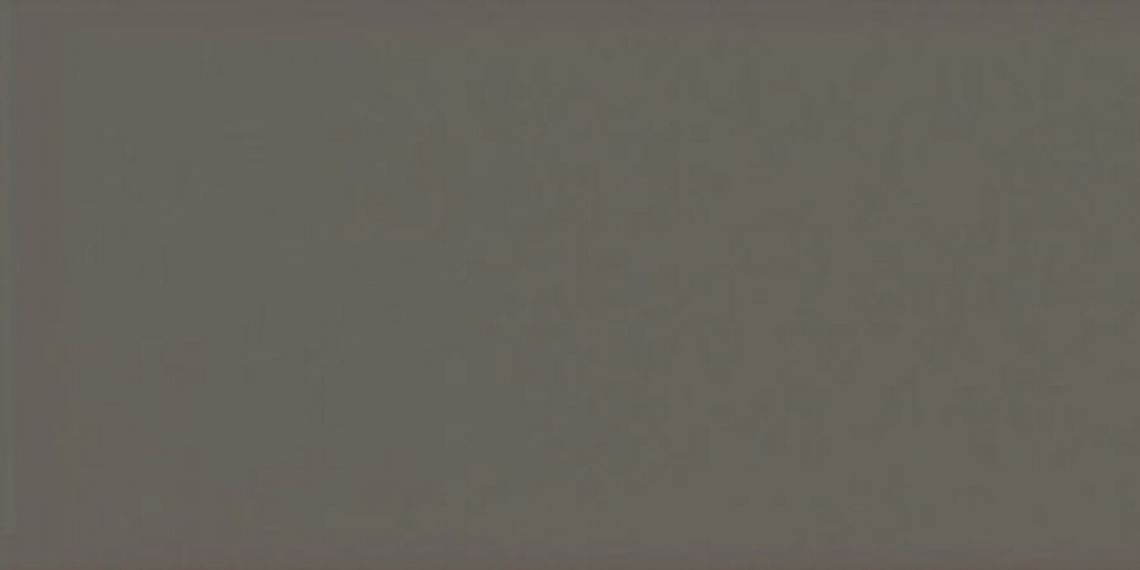 20915 EVOLUTION GRIS OSCURO BRILLO 7,5*15