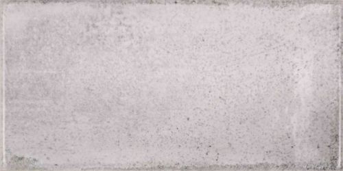 21037 Vita Nebbia 10х20