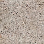 21437 FS VENECIA/60.7X60.7/R 60.7x60.7