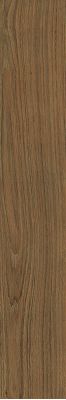 21887 ESSENCE NUT/15/R 15x90