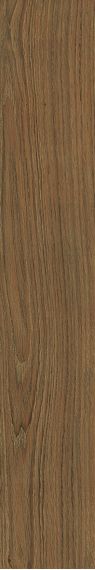 21887 ESSENCE NUT/15/R 15x90