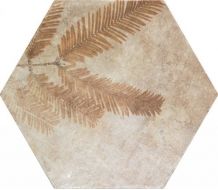 220971 Tropic Cotto 32x36.8