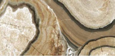 221033 Invictus Amber Pulido 60x120