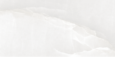 22110 ONIX PEARL/60X120/EP 60x120