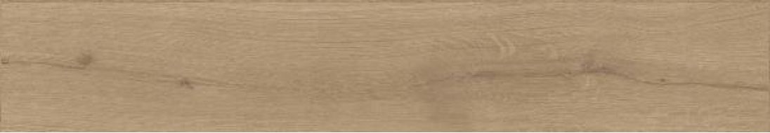 221990 Century Honey Rect Matt 25x150