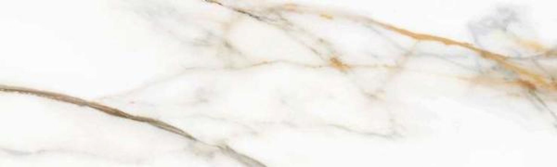 223583 Calacatta Gold White Brillo 31.6х100
