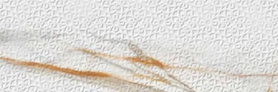 224269 Bellagio White Matt 39.6x119.2