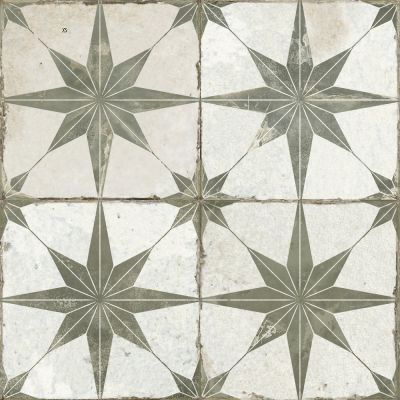 23199 FS STAR SAGE 45x45