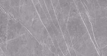 23459 MUSEUM GREYSTONE-ARGENT/60X120/EP 60x120