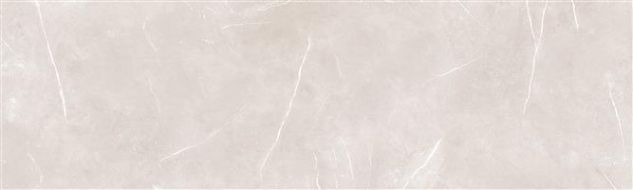 2367 ONA DARK GREY 30*100