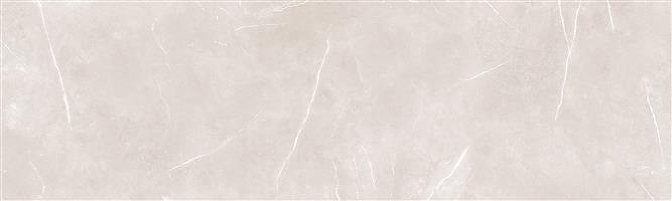 2367 ONA DARK GREY 30*100
