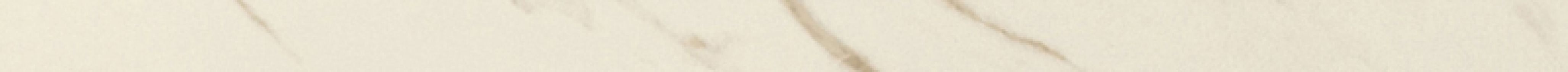 240091 MARBLE BIANCO CALACATTA LAPPATO 2,7x58,5