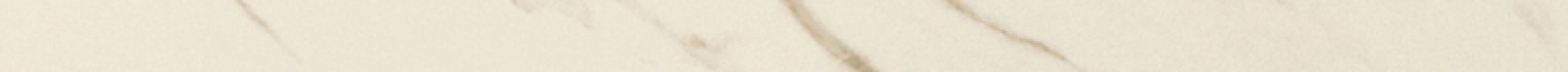240091 MARBLE BIANCO CALACATTA LAPPATO 2,7x58,5