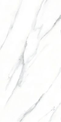 240 MADISON 60x120