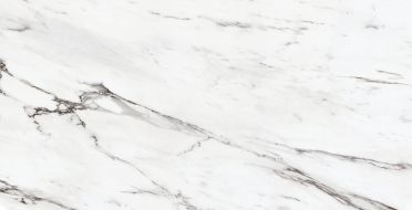 24202 ETERNAL WHITE/100X180/P