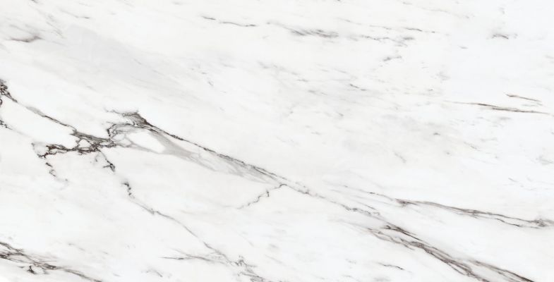 24202 ETERNAL WHITE/100X180/P