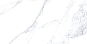 24203 CALACATTA EXTRA WHITE/100X180/P