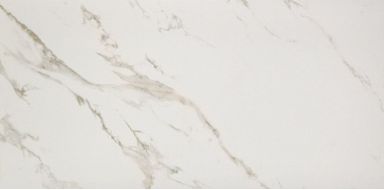 2460220 Marmoker Lucido STATUARIO ORO 59Х118