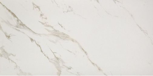 2460220 Marmoker Lucido STATUARIO ORO 59Х118