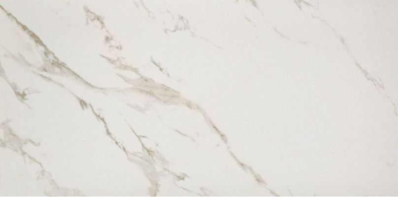 2460220 Marmoker Lucido STATUARIO ORO 59Х118