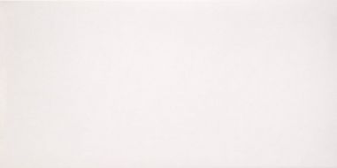 2464631 Marmoker Lucido CANOVA 59Х118