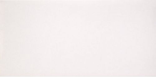 2464631 Marmoker Lucido CANOVA 59Х118