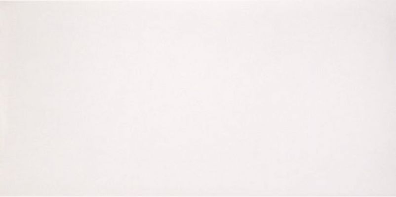 2464631 Marmoker Lucido CANOVA 59Х118