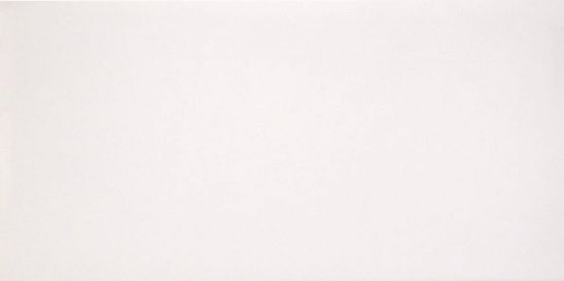 2464631 Marmoker Lucido CANOVA 59Х118