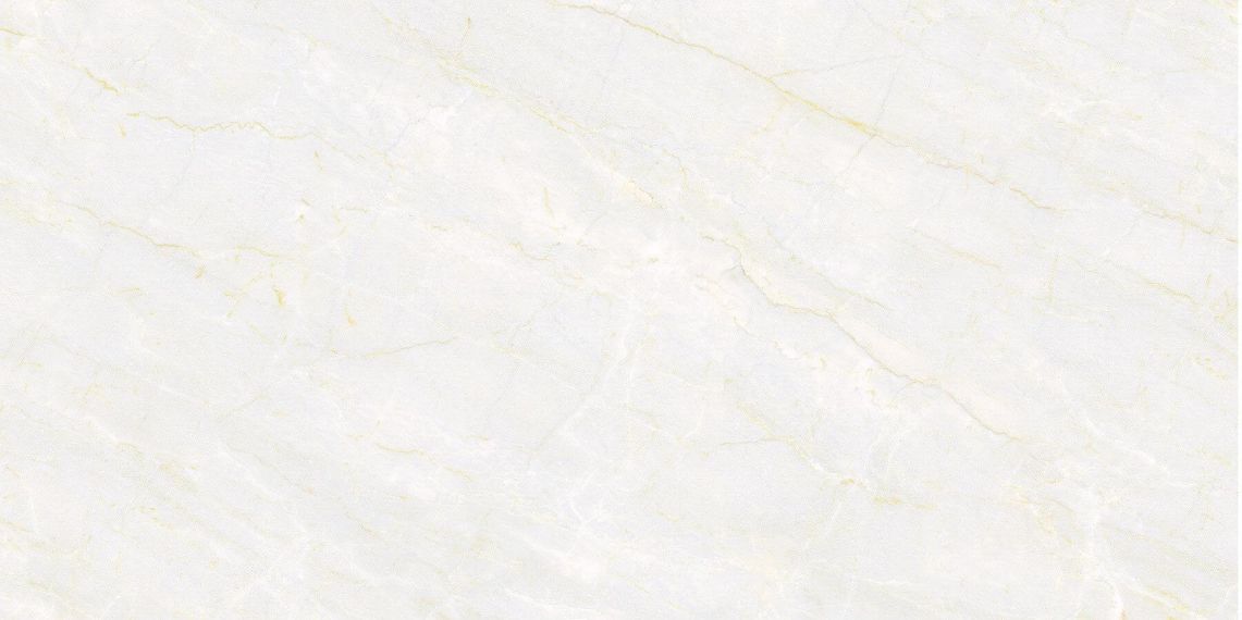 246536 Керамогранит Estonia Polished 80x160