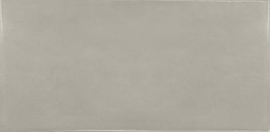 25582 Silver Mist 6.5x13.2
