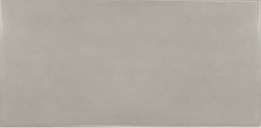 25582 Silver Mist 6.5x13.2