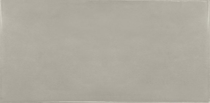25582 Silver Mist 6.5x13.2