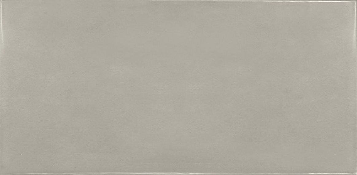 25582 Silver Mist 6.5x13.2