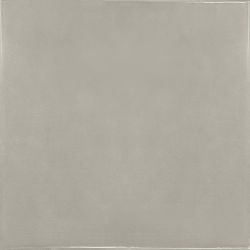 25593 Silver Mist 13.2x13.2