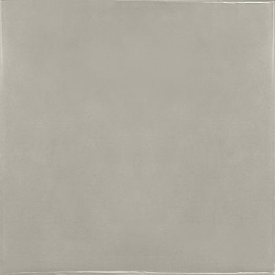 25593 Silver Mist 13.2x13.2