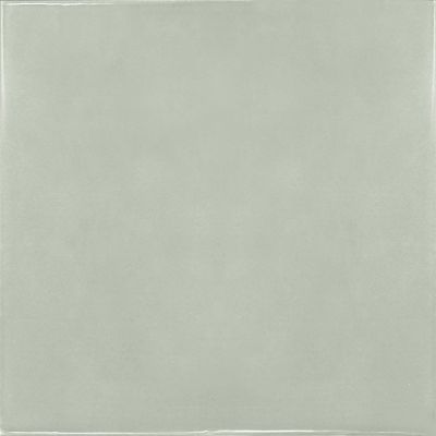 25622 Mint 13.2x13.2