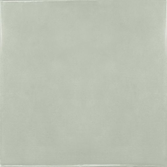 25622 Mint 13.2x13.2